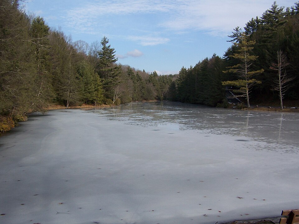 File:Seneca State Forest.jpg