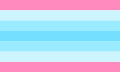 Transmasculine