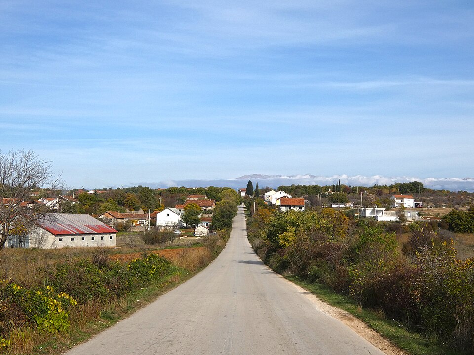 File:Bivolje Brdo.jpg