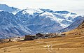 Animal Farm in the Altai Mountains