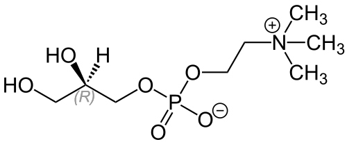 File:L-alpha-GPC Structural Formula V.1.svg