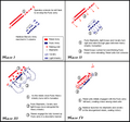 Thumbnail for version as of 08:29, 12 January 2013