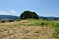 Rear circular mound (viewed from the front)