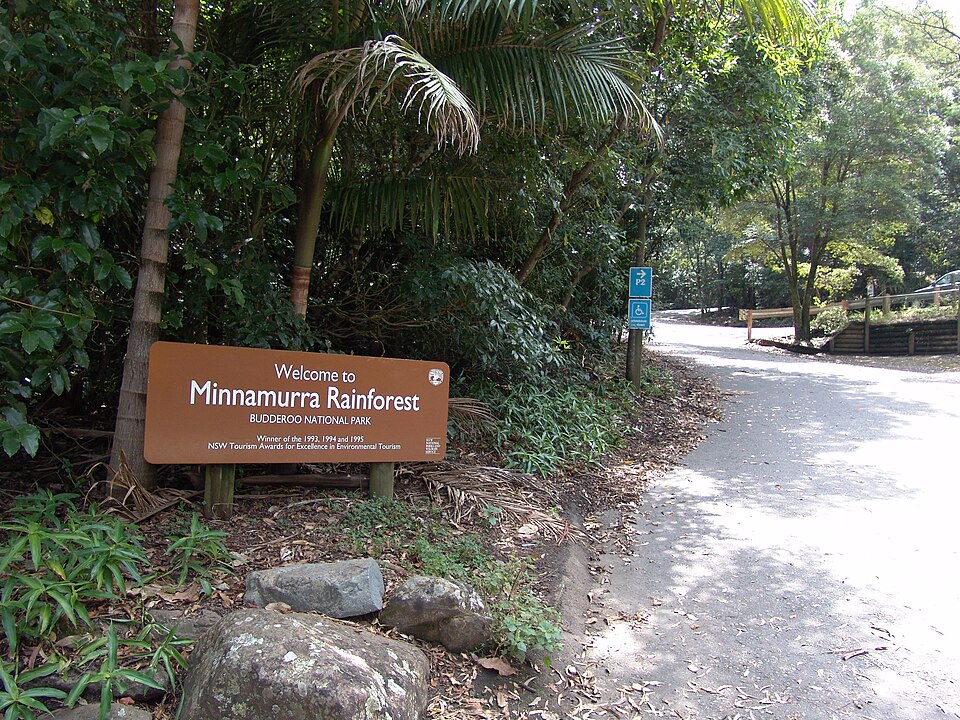 File:MinnamurraRainforest.jpg