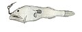 Thumbnail for version as of 05:25, 15 May 2007