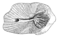 Thumbnail for version as of 20:42, 26 June 2013