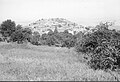 Bayt Mahsir, taken by the Harel Brigade 8–11 May 1948