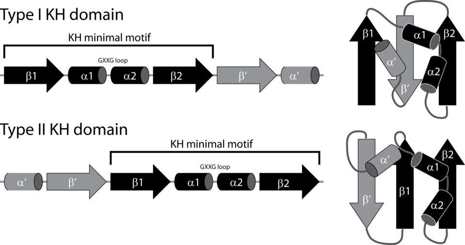 File:KH fold types.png