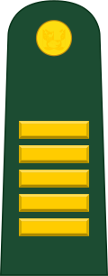 File:Peru-Army-OF-4.svg