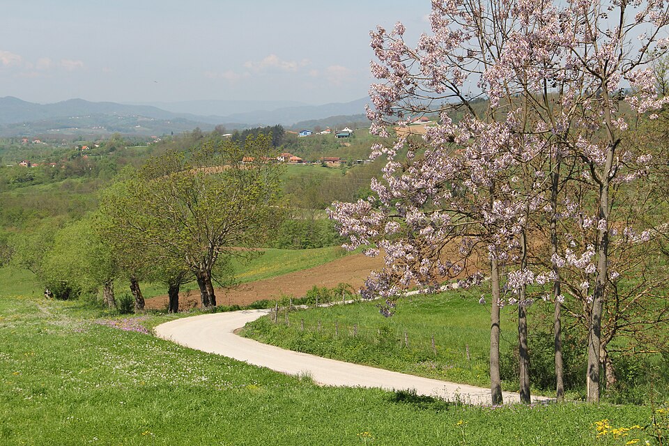 File:Rogača 06.jpg