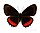 Stub icon