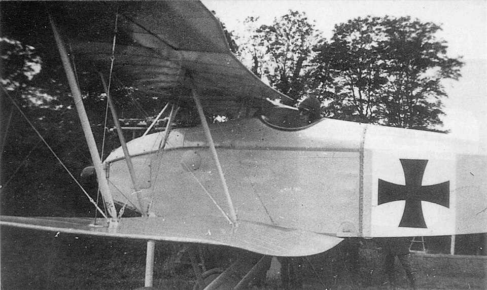 File:Halberstadt D.II drooped lower trailing edge-1.jpg