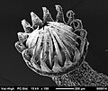 Thumbnail for version as of 21:29, 31 October 2017