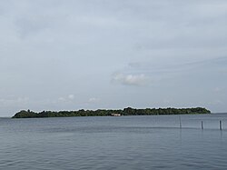 Pathiramanal Island