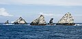 Shag Rocks