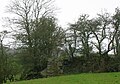Thumbnail for version as of 20:13, 5 April 2011