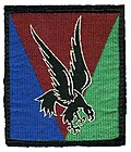 Shoulder Arm Insignia of the 10th Parachute Division of France