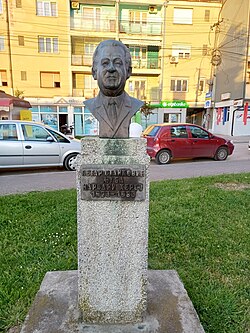 Bust of Petar Stanković Ljuba in Vlasotince