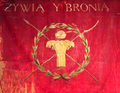 Thumbnail for version as of 14:08, 12 March 2010