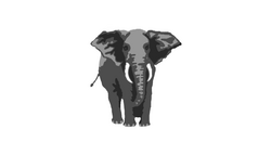 Mbunda