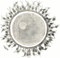 Thumbnail for version as of 03:40, 2 July 2011