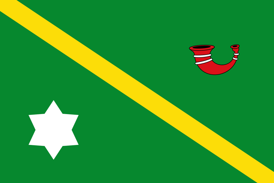 File:Heeze 1960 flagproposal.svg