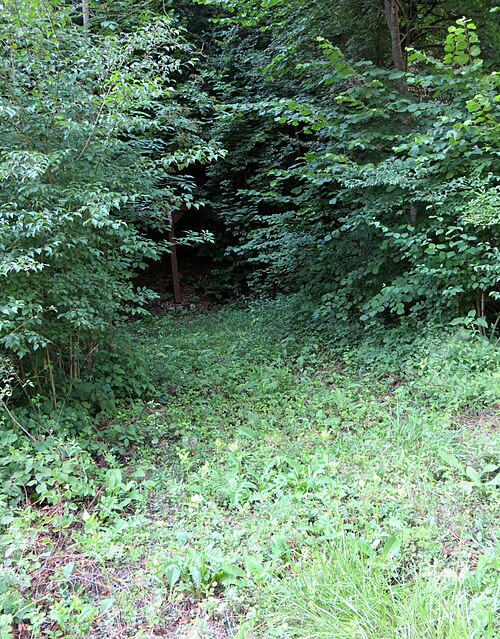 File:Iska Slovenia - Romani Mass Grave.JPG