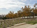 Western half of cemetery