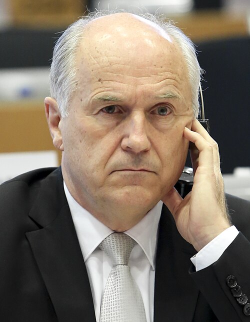 File:AFET Committee meeting - Inzko (cropped).jpg