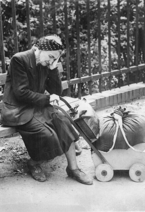 File:Bundesarchiv Bild 146-1996-036-01, Flüchtlingsfrau mit Wägelchen.jpg