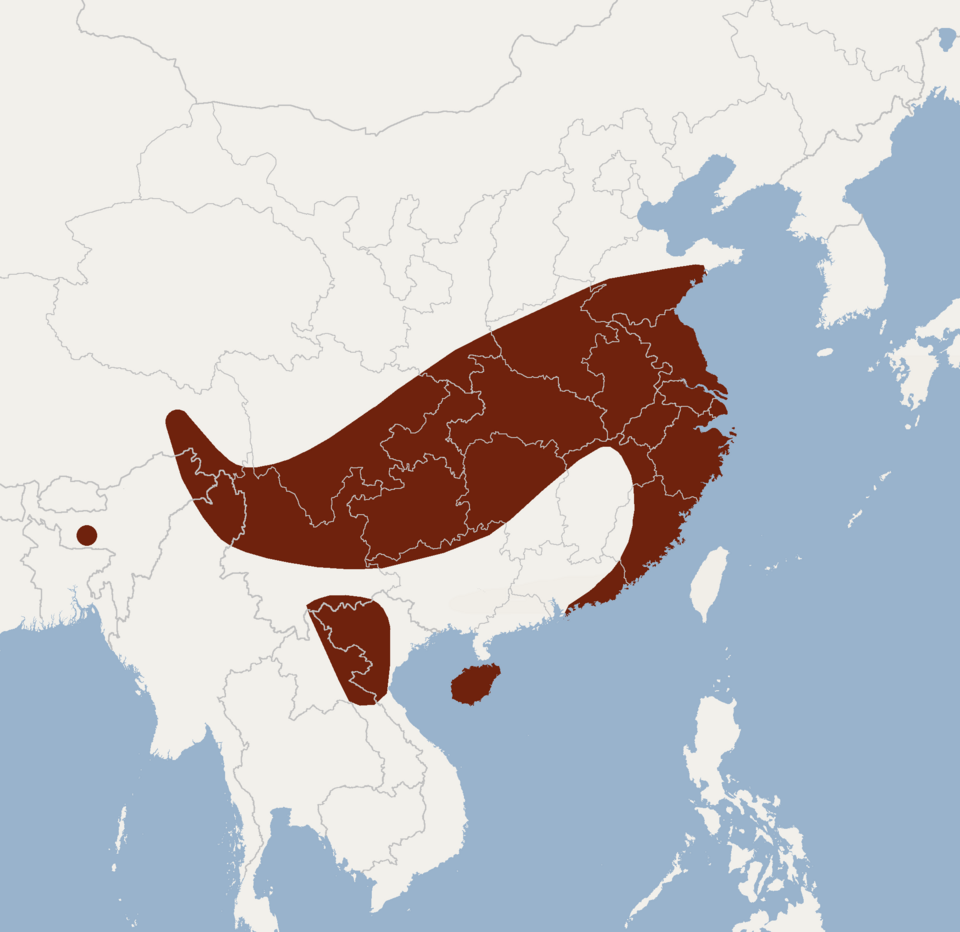 File:Distribution of Myotis laniger.png