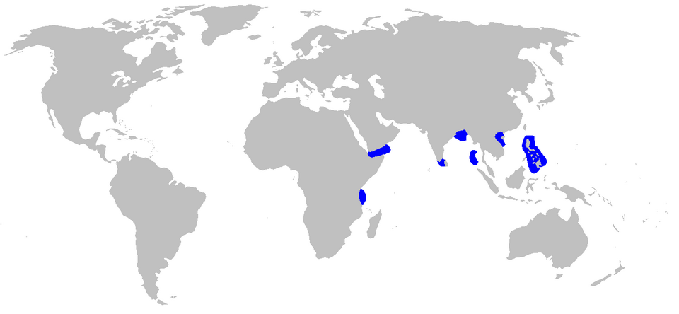 File:Eridacnis radcliffei distmap.png
