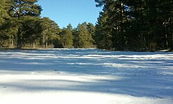 Looks like this Site of Community Interest has an image. Don't worry, you can take one of your own, and upload it too!