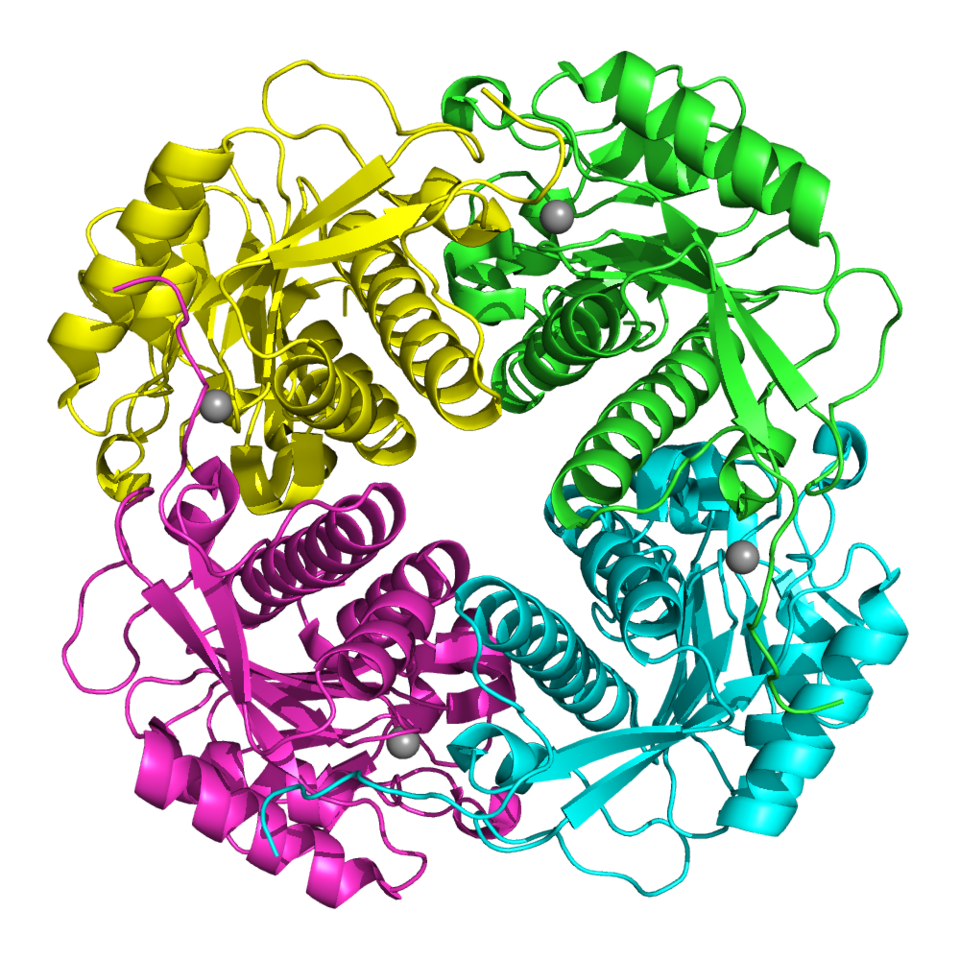 File:4m6r apip.png