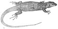Thumbnail for version as of 11:07, 30 May 2011