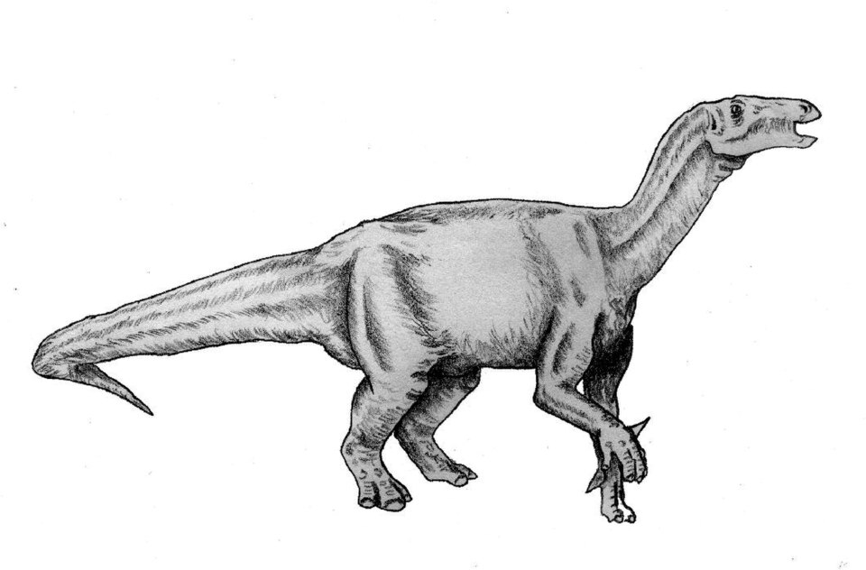 File:Lurdusaurus1.jpg
