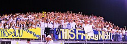 A crowd wearing white, blue and yellow cheers in bleachers
