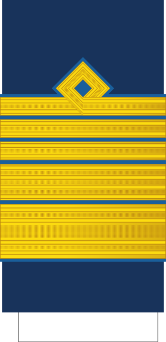 File:Romania-AirForce-OF-8 Sleeve.svg