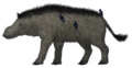 Thumbnail for version as of 08:59, 21 November 2024