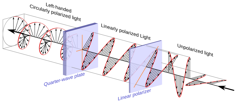 Image is well described in article