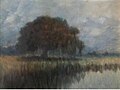 Drysdale Alexander John-Oak on the Lower Coast of the Mississippi 1912