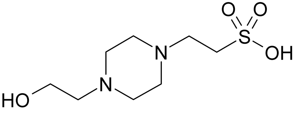 File:HEPES.png