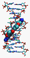 Thumbnail for version as of 16:41, 20 November 2011