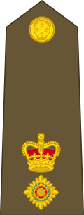 File:New Zealand-Army-OF-4.svg