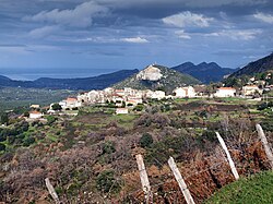A general view of Olmeta-di-Tuda village