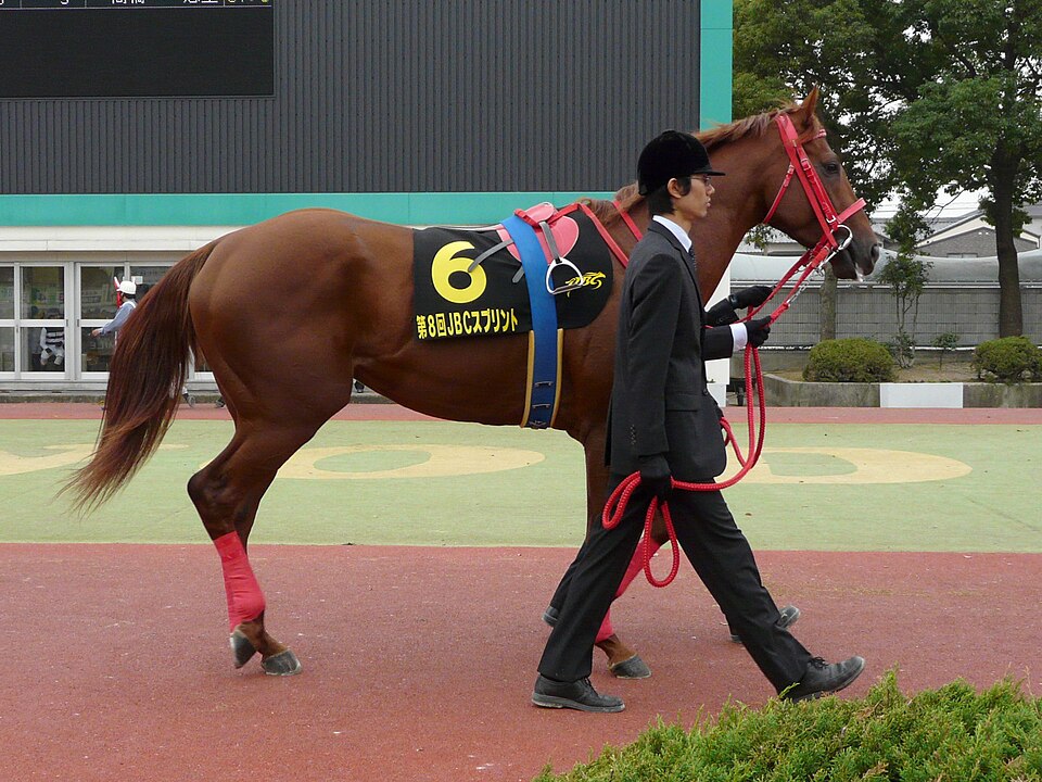 File:Smart Falcon.jpg