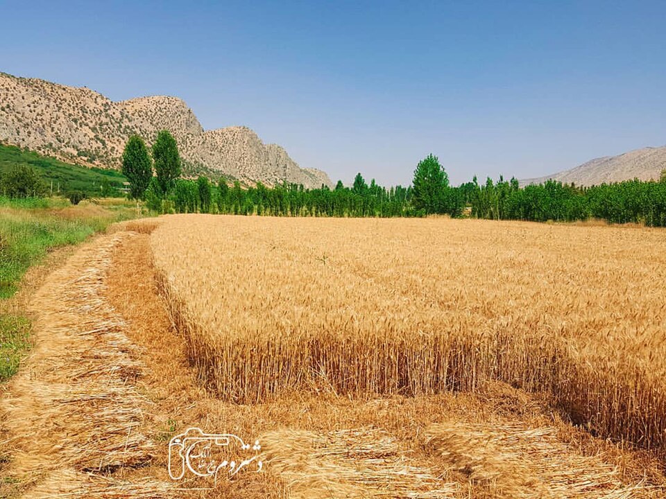 File:تابستان دشتروم.jpg