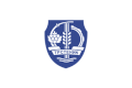 Flag of Trstenik