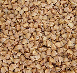 kasha, hulled roasted buckwheat cereal of Poland