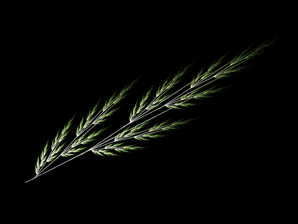 File:HERBO avecTige.png